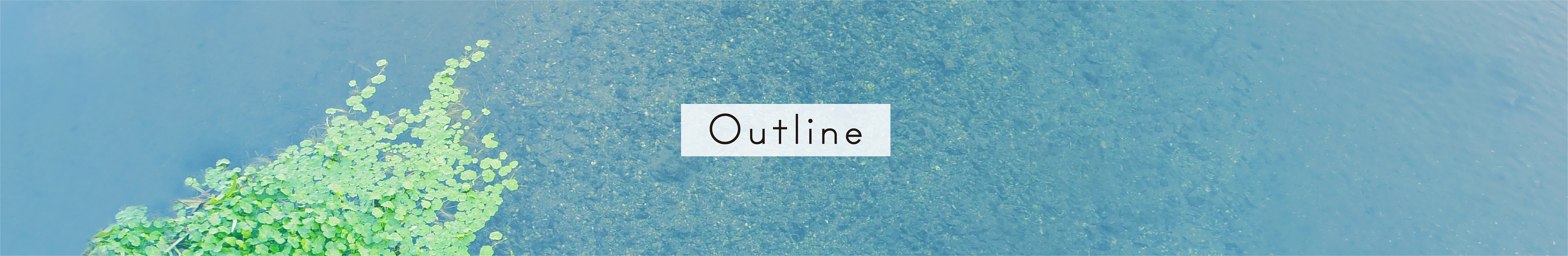 Outline（事務所概要）